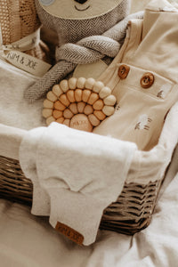 Baby shower gift basket