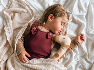 Giraffe plush toy
